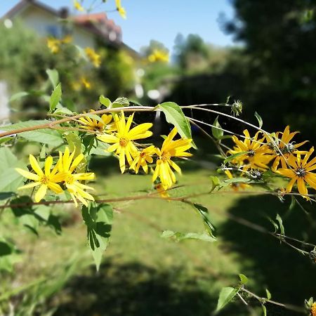 FeWo Happy Place in traumhafter Lage See nah Utting am Ammersee Exterior foto