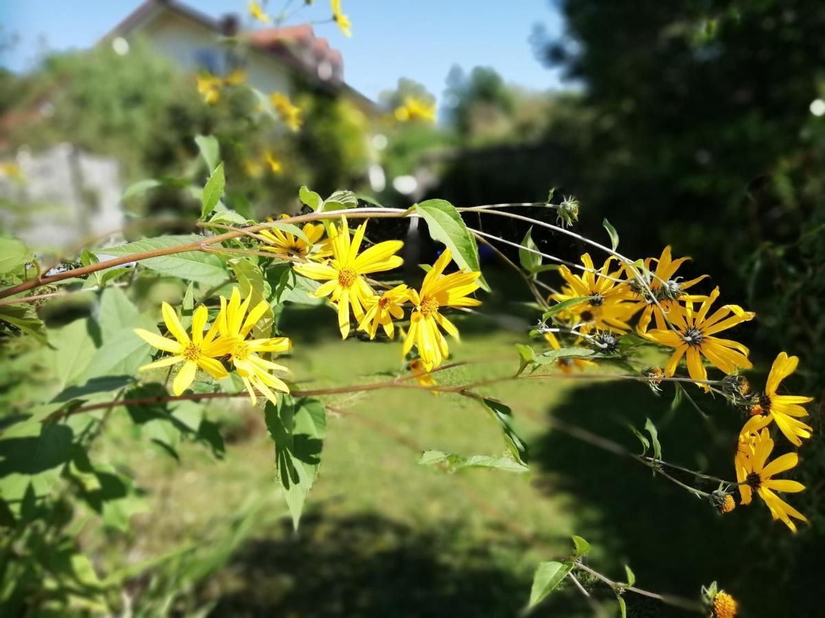 FeWo Happy Place in traumhafter Lage See nah Utting am Ammersee Exterior foto
